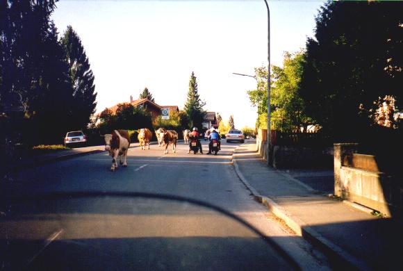 0004.jpg