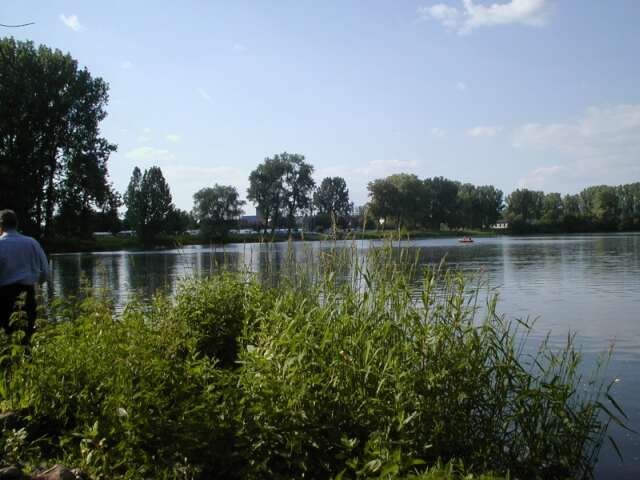 imebingerbaggersee.jpg