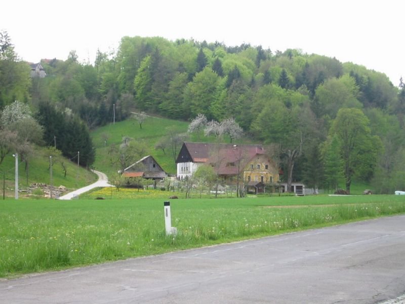 photo13.jpg