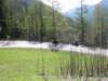 photo39_small.jpg