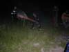 photo36_small.jpg
