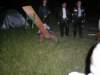 photo37_small.jpg