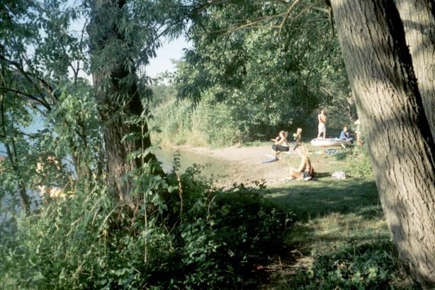 photo16.jpg