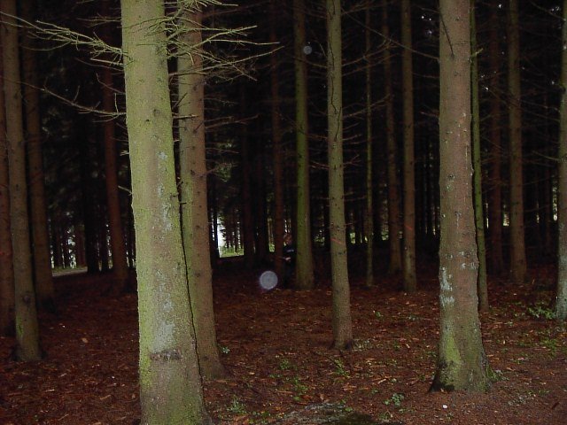 photo.jpg