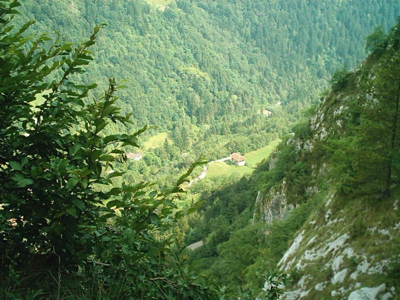 photo11.jpg