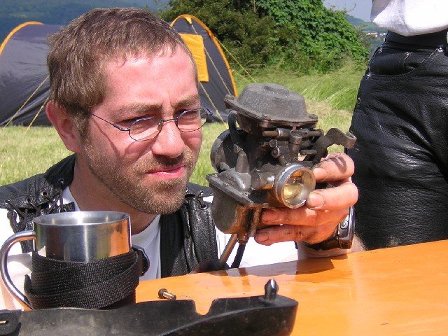 ameiseundohrenkneiferimvergaserwarendieursache.jpg