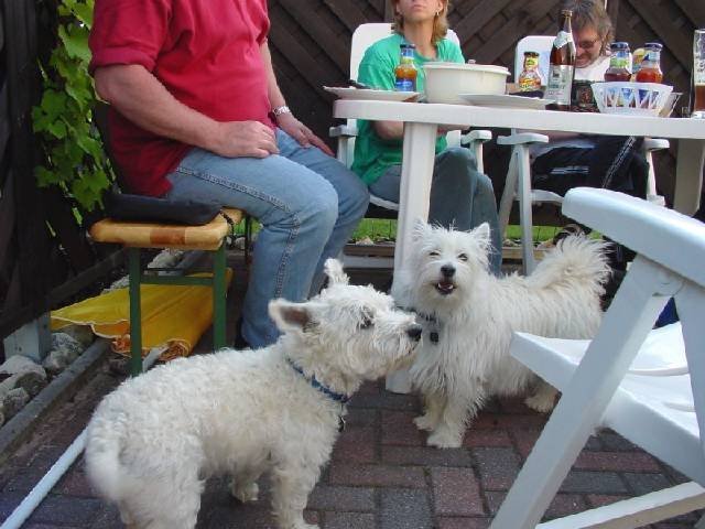 photo12.jpg