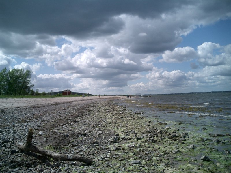 photo54.jpg