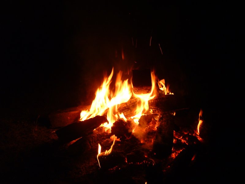 photo81.jpg