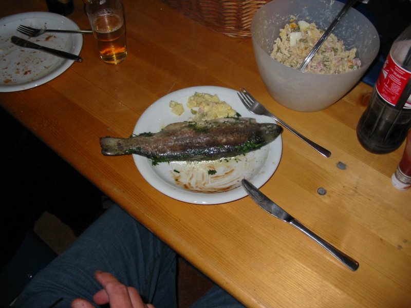 kruterforelle.jpg