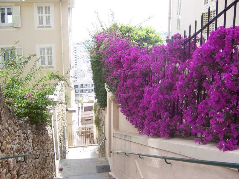 photo32.jpg