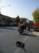 photo15_small.jpg