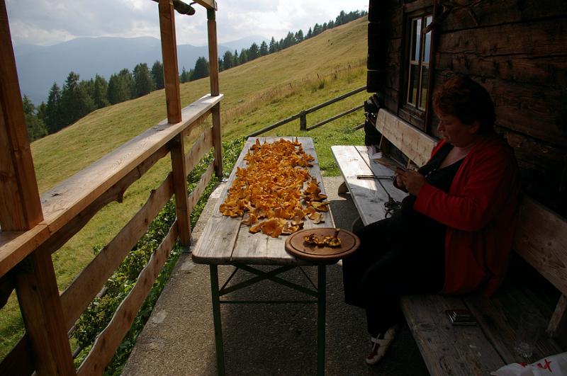 IMGP0132.jpg - ...der Schatz...Eierschwammerln