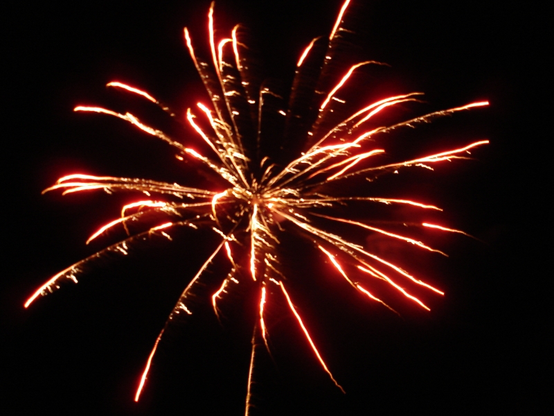 DSC00084.JPG